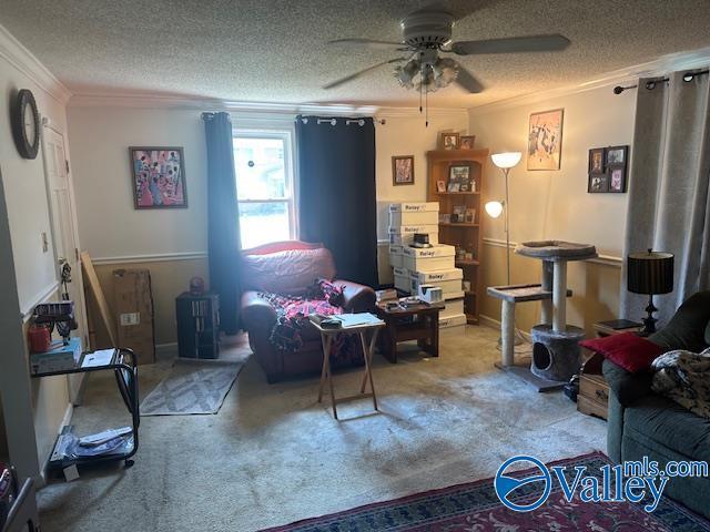 3613 Mcvay St, Huntsville, AL 35805 - living room with crown molding, ceiling fan, carpet floors, and a textured ceiling