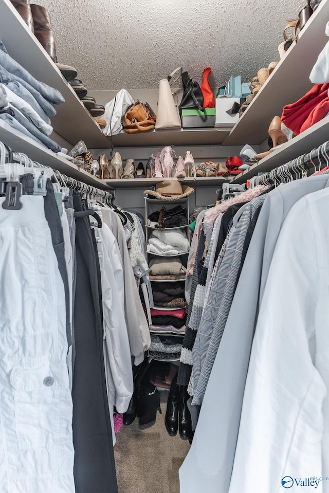 spacious closet featuring carpet