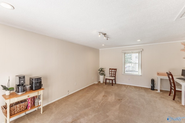 sitting room featuring a textured ceiling, ornamental molding, baseboards, and light colored carpet