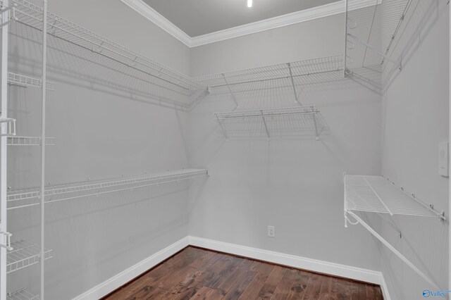 spacious closet featuring hardwood / wood-style flooring