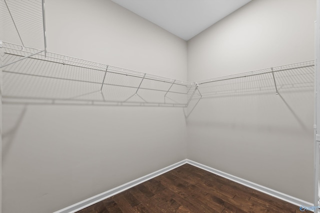 spacious closet featuring dark wood-type flooring