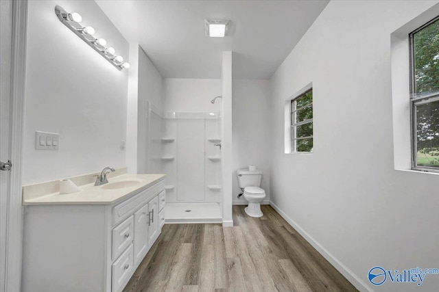 bathroom with toilet, vanity, a shower, and wood-type flooring