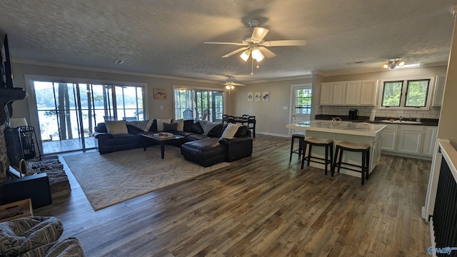 living room with dark hardwood / wood-style floors, sink, ornamental molding, ceiling fan, and a textured ceiling