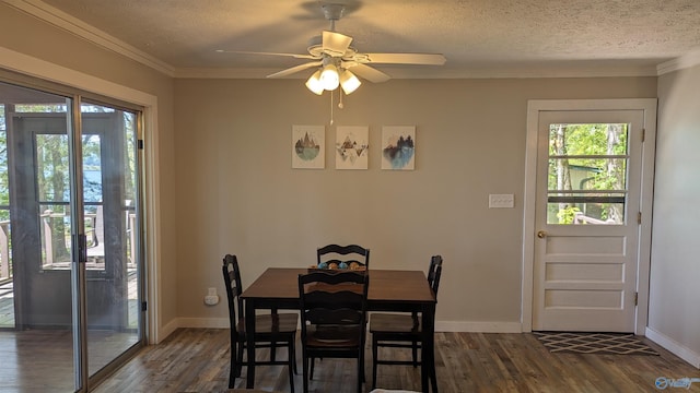 dining area featuring crown molding, dark wood-type flooring, ceiling fan, and a textured ceiling