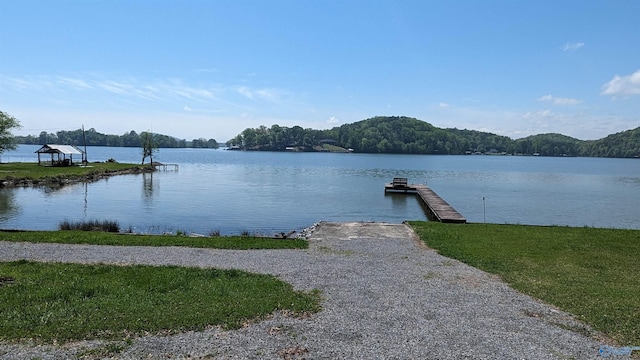 dock area with a water view