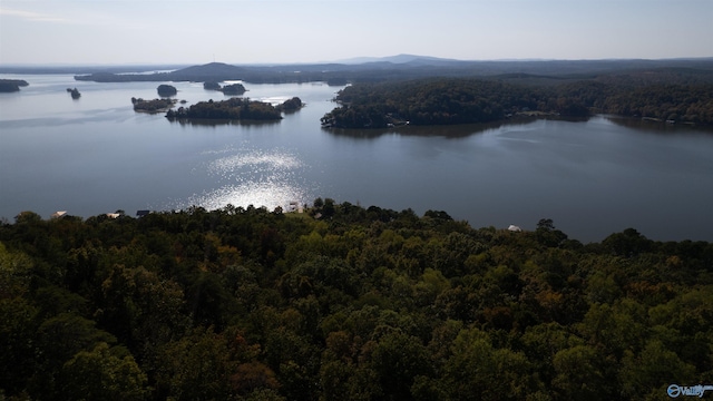 property view of water featuring a mountain view