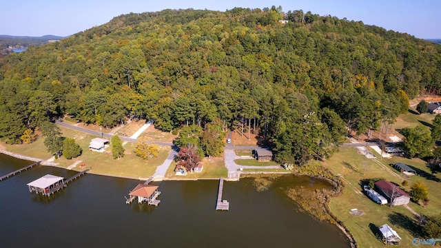 bird's eye view featuring a water view