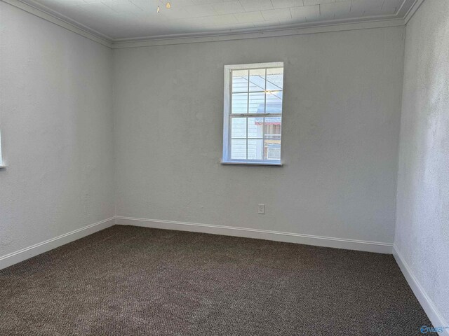 carpeted spare room featuring crown molding