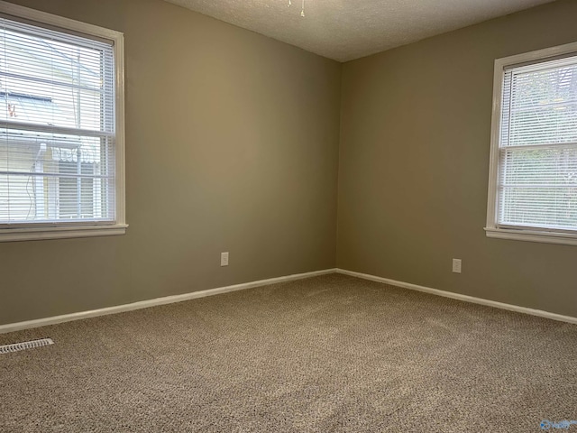 carpeted empty room with plenty of natural light and a textured ceiling