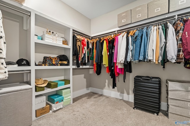 spacious closet with carpet floors
