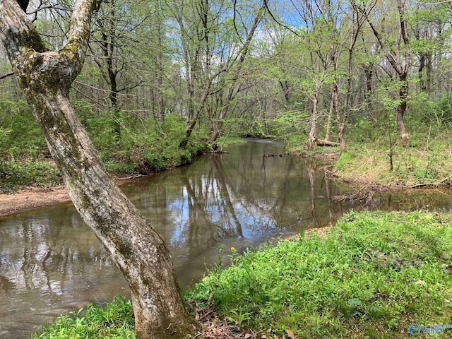 water view with a view of trees