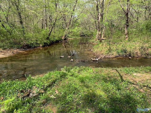 view of local wilderness featuring a view of trees