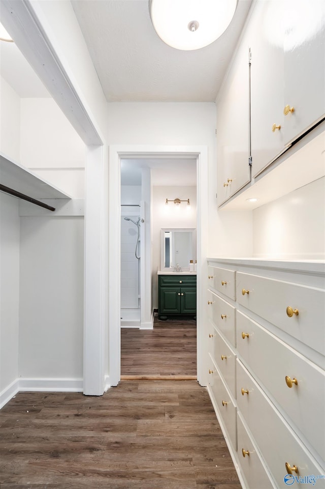 spacious closet with sink and dark wood-type flooring