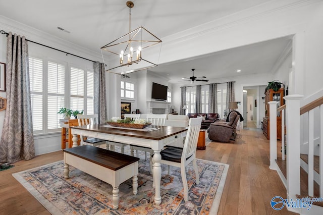 dining room featuring visible vents, ornamental molding, ceiling fan with notable chandelier, and light wood-type flooring