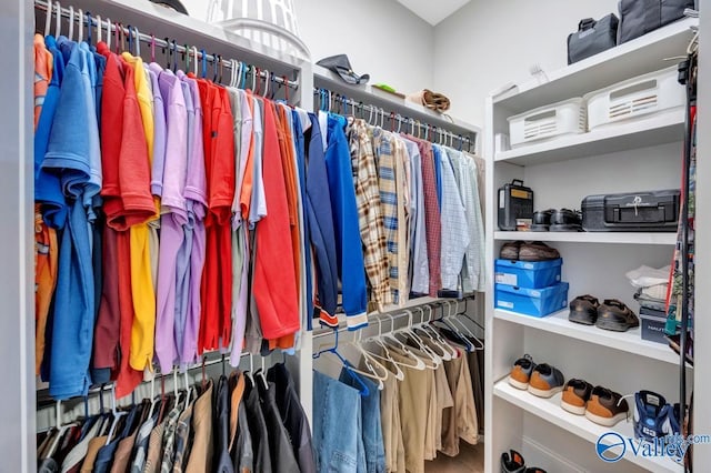 spacious closet with wood finished floors