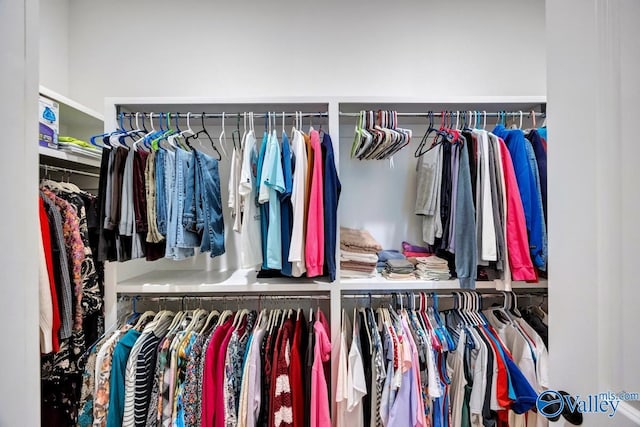 view of walk in closet