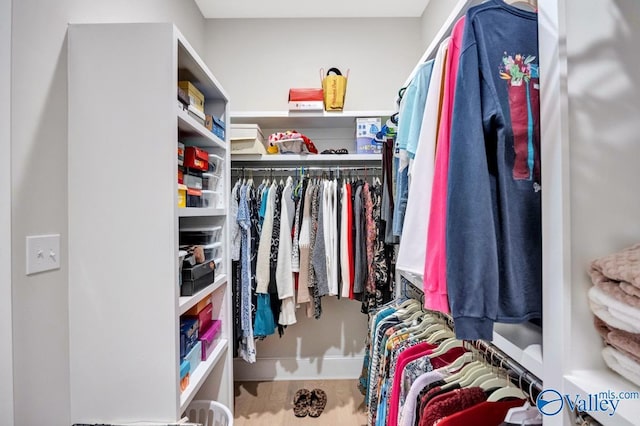 view of spacious closet