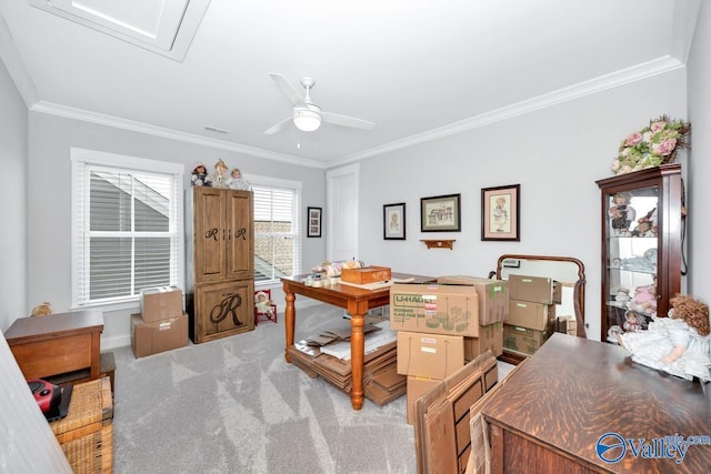 carpeted home office featuring ornamental molding, a ceiling fan, and visible vents