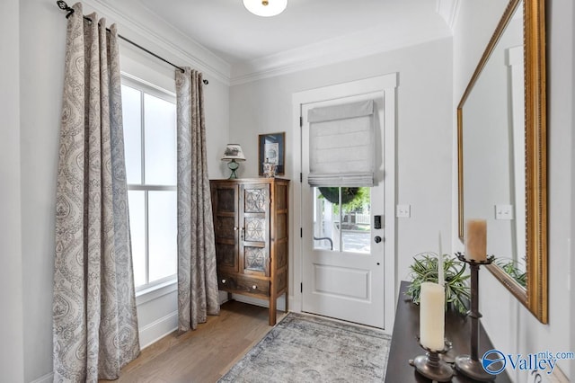 doorway to outside with ornamental molding, wood finished floors, and a wealth of natural light