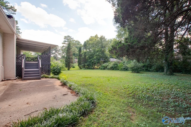 view of yard with a patio