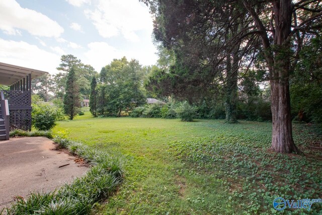 view of yard featuring a patio area