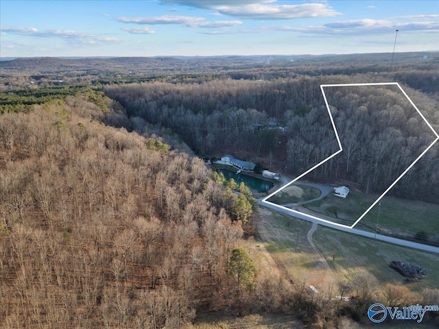 1091 Rocky Hollow Rd Unit 10, Blountsville AL, 35031 land for sale