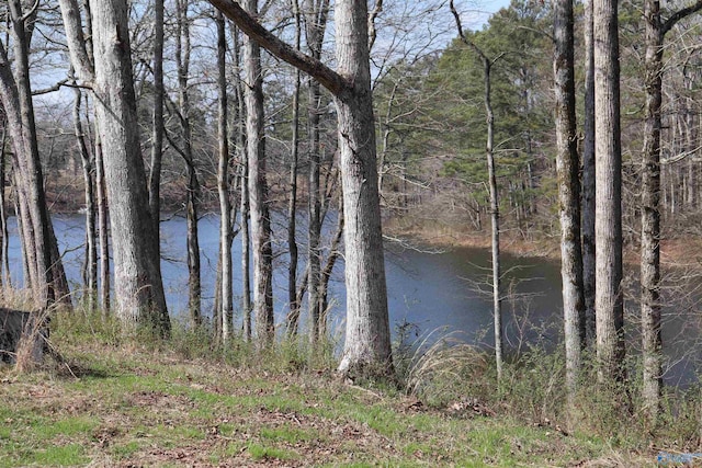 9ACRES/- County Road 1464, Cullman AL, 35058 land for sale