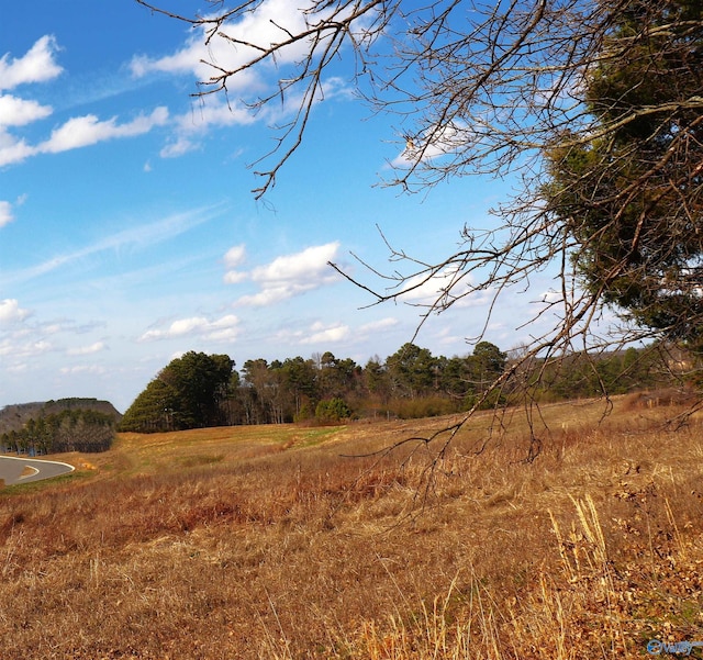 Listing photo 2 for 9ACRES/- County Road 1464, Cullman AL 35058