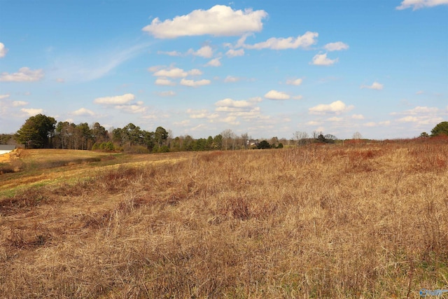 Listing photo 3 for 9ACRES/- County Road 1464, Cullman AL 35058