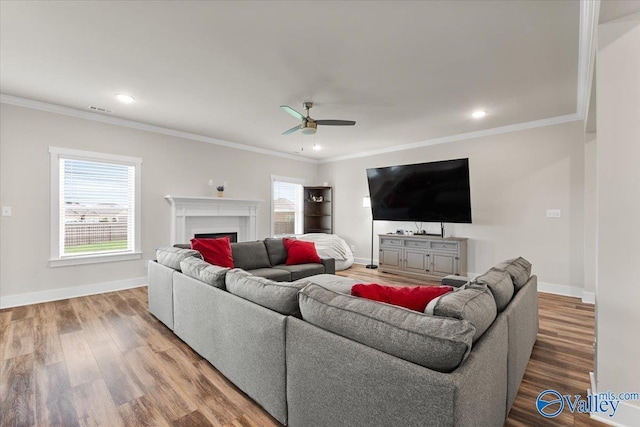 246 Tybee Dr, Madison, AL 35756 - living area with a ceiling fan, wood finished floors, crown molding, baseboards, and recessed lighting