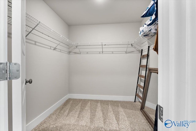 246 Tybee Dr, Madison, AL 35756 - walk in closet with carpet flooring