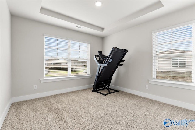 246 Tybee Dr, Madison, AL 35756 - workout room featuring baseboards, a raised ceiling, carpet flooring, and plenty of natural light