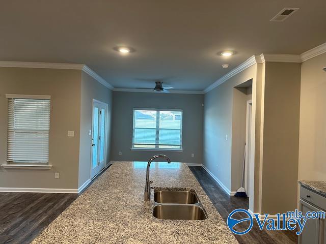 kitchen with dark hardwood / wood-style flooring, light stone counters, crown molding, and sink