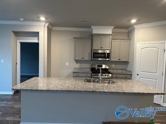 kitchen featuring light stone counters, appliances with stainless steel finishes, sink, and dark hardwood / wood-style flooring