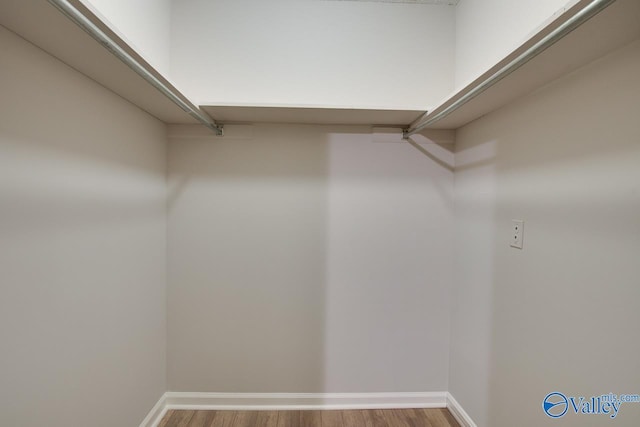 walk in closet featuring wood-type flooring