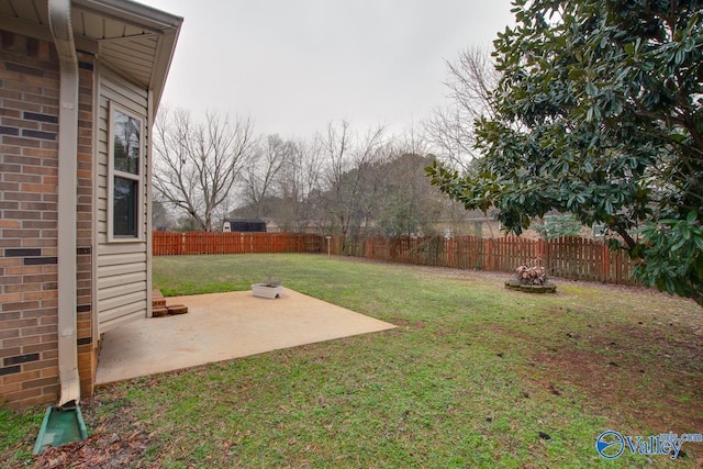 view of yard featuring a patio area