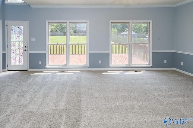 spare room featuring crown molding, a healthy amount of sunlight, and carpet