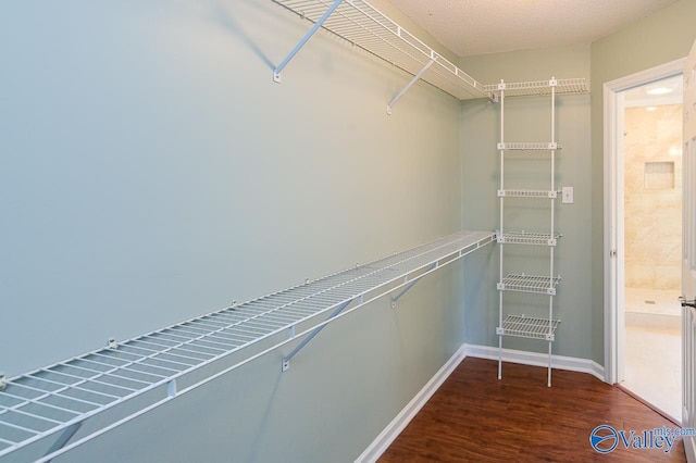 walk in closet featuring dark hardwood / wood-style flooring