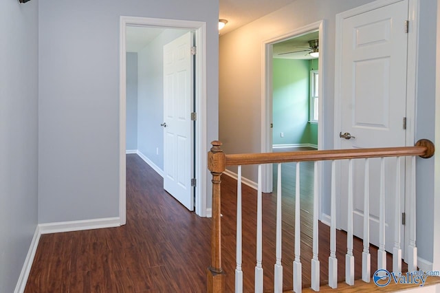 corridor featuring dark wood-type flooring