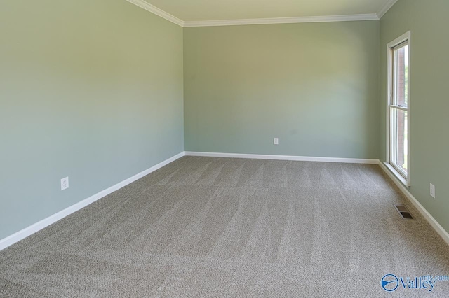 carpeted spare room featuring crown molding and plenty of natural light