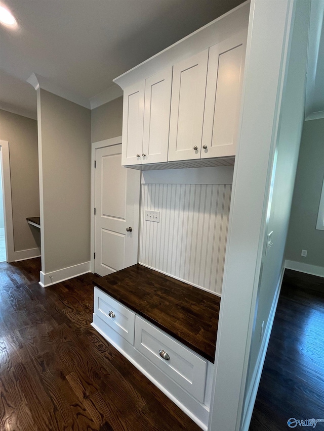 mudroom with dark hardwood / wood-style floors