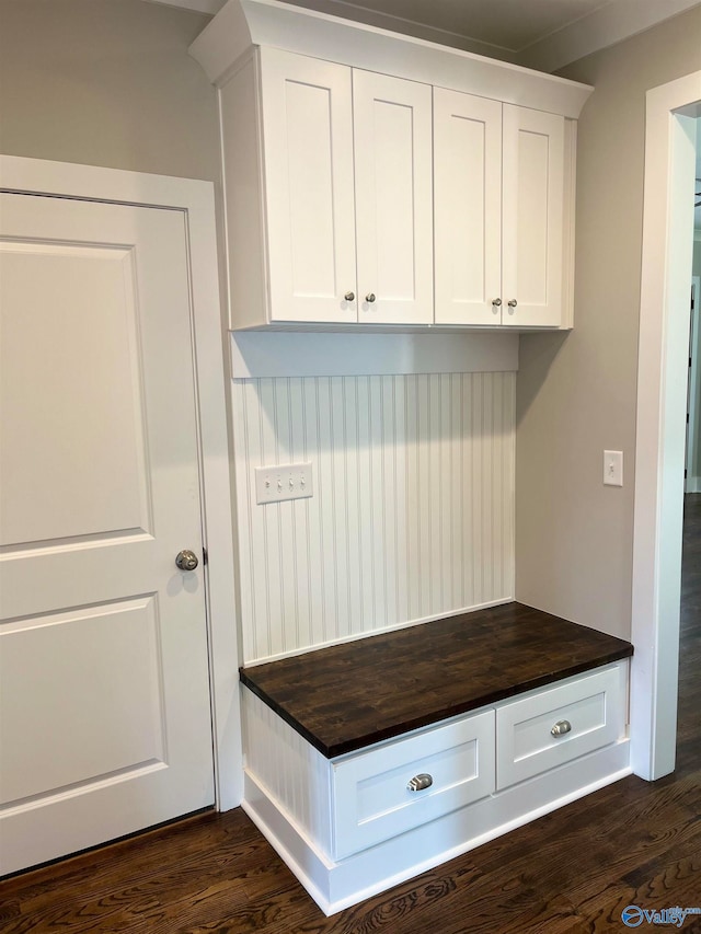 mudroom featuring dark hardwood / wood-style flooring