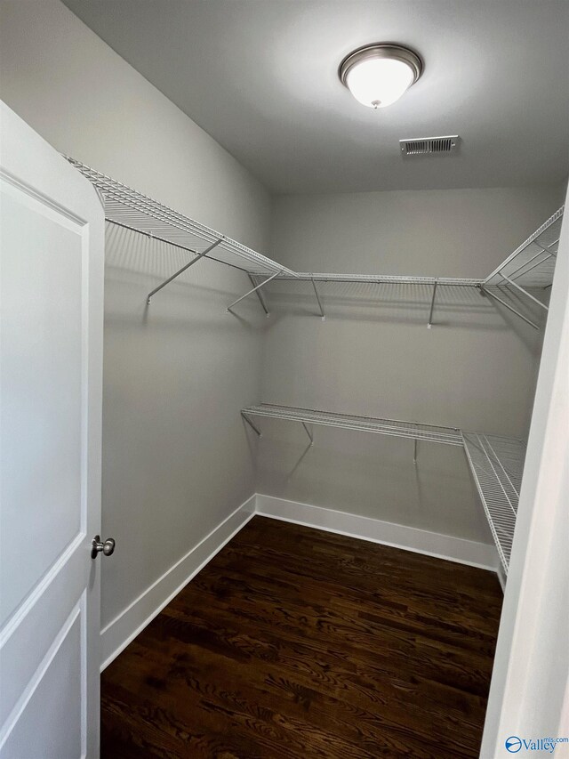 walk in closet with hardwood / wood-style floors