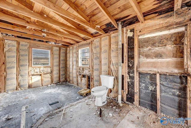 bathroom with toilet