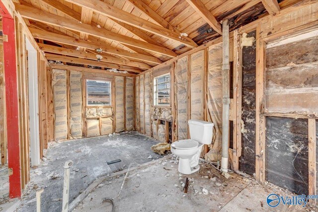 bathroom with toilet and lofted ceiling