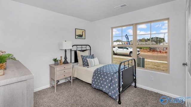 18882 Wicklow Cir, Athens, AL 35613 - bedroom featuring carpet flooring, multiple windows, and baseboards