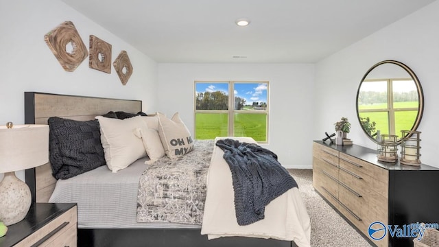18882 Wicklow Cir, Athens, AL 35613 - carpeted bedroom featuring multiple windows, recessed lighting, and baseboards