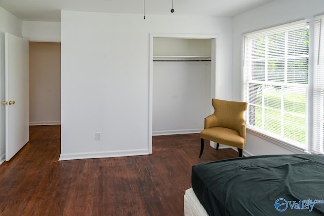 bedroom featuring multiple windows, hardwood / wood-style flooring, and a closet