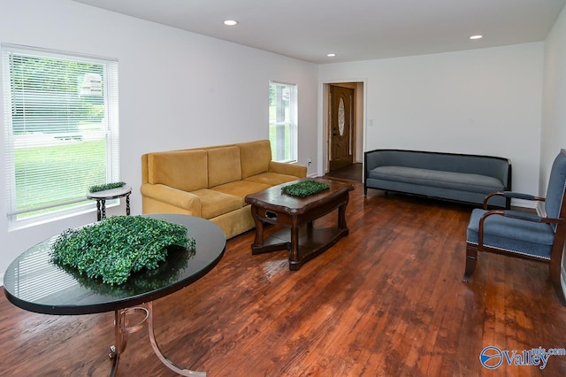 living room featuring hardwood / wood-style flooring and a wealth of natural light