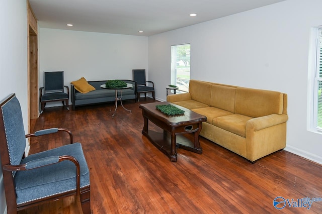 living room featuring a healthy amount of sunlight and hardwood / wood-style flooring